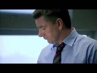 Телохранители (Дания)