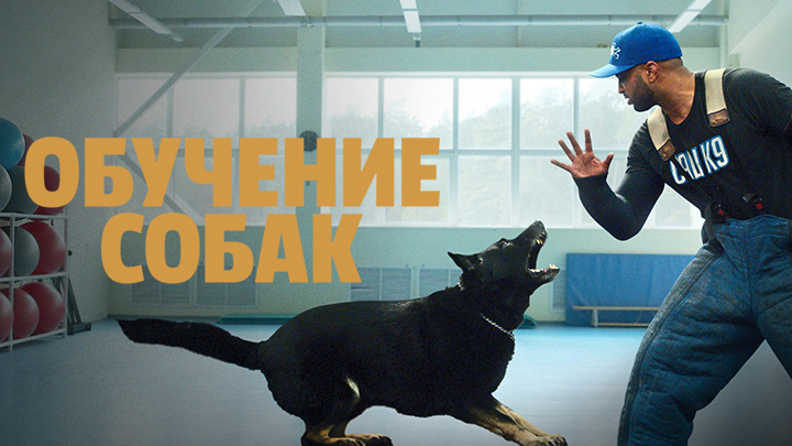 Обучение собак