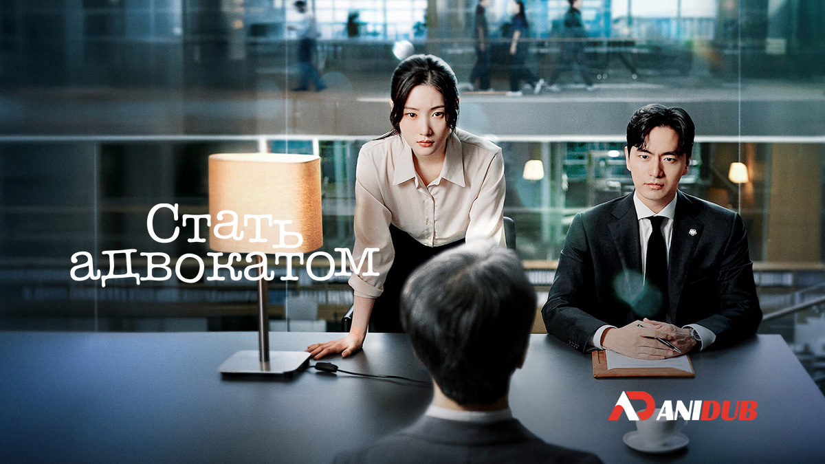 Стать адвокатом