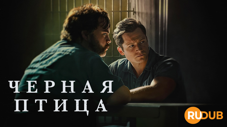 Чёрная птица