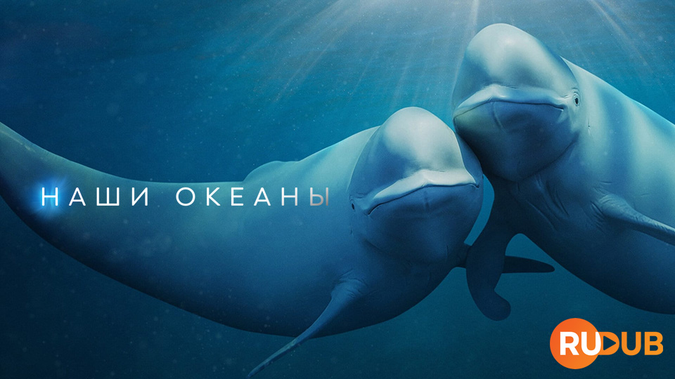 Наши океаны