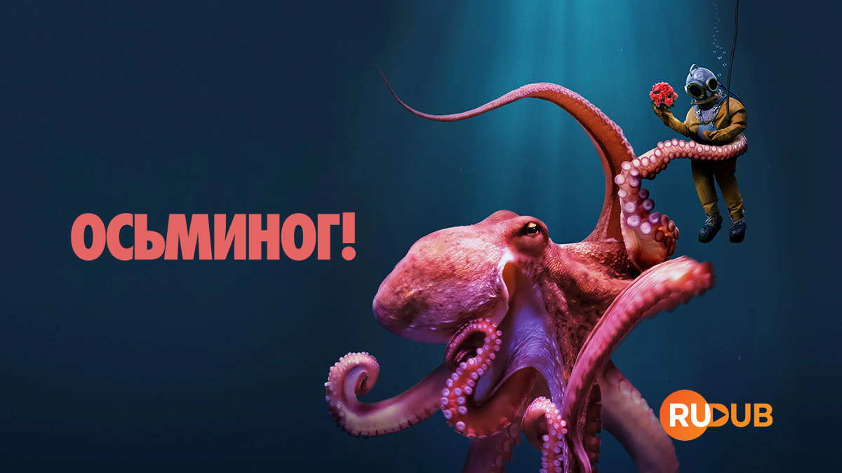 Осьминог!