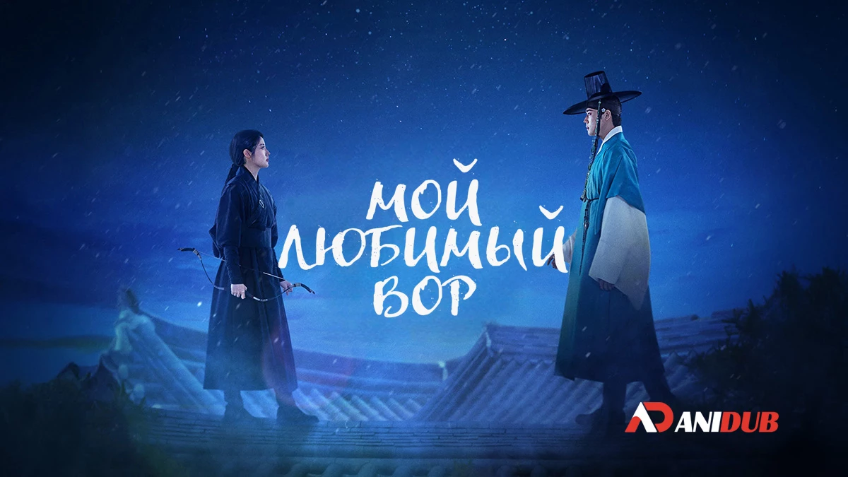 Мой любимый вор